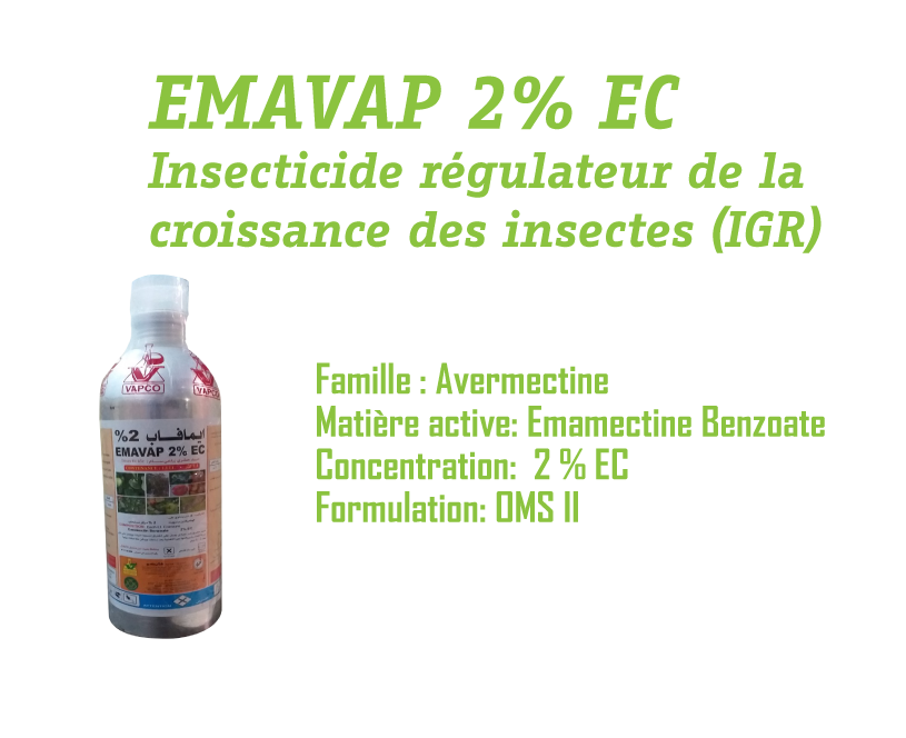 insecticides
