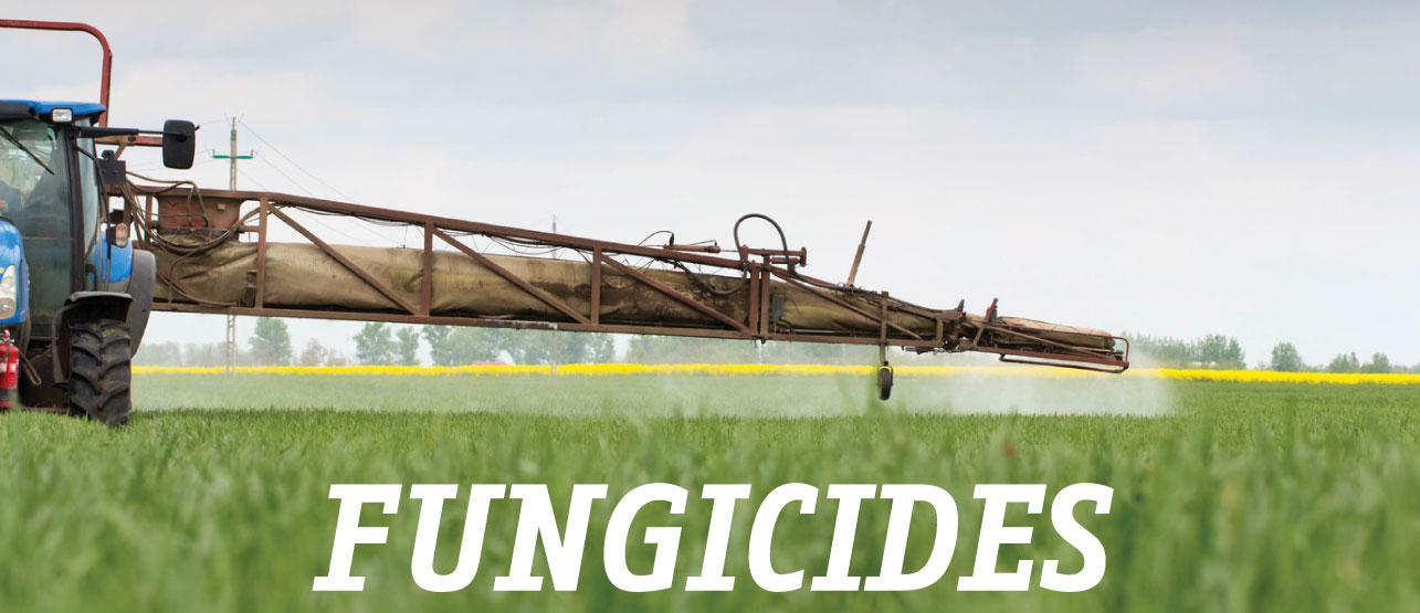 fongicides