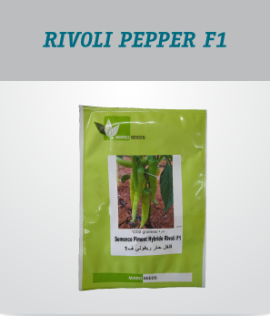 irrigation_produit