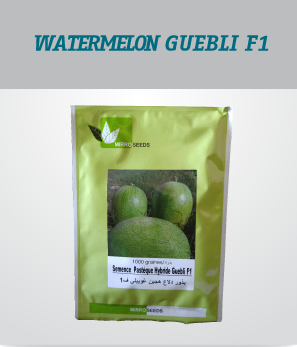 irrigation_produit