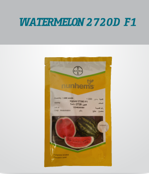 irrigation_produit